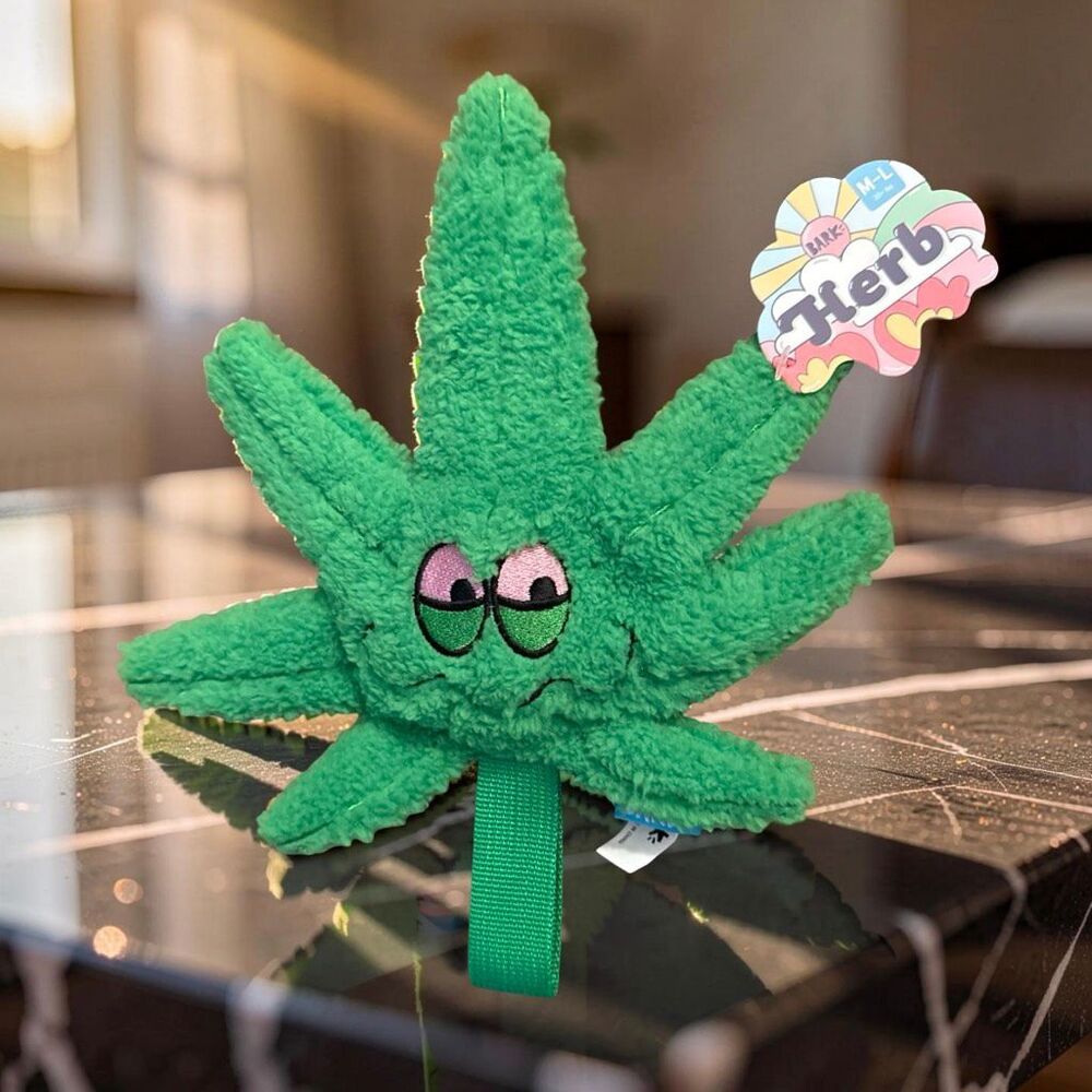 Bark Box 420 Plush Treat Squeaker WEED Leaf Plush Toy NEW UNOpened